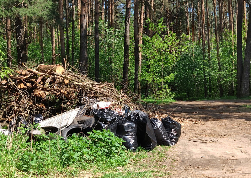 В Твери подвели итоги четвертого общегородского субботника
